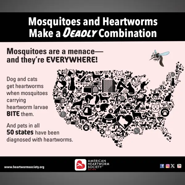 United States made out of dog/cat images with mosquito flying overhead