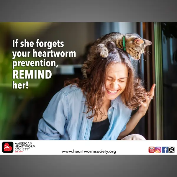 cat on top of smiling woman's head