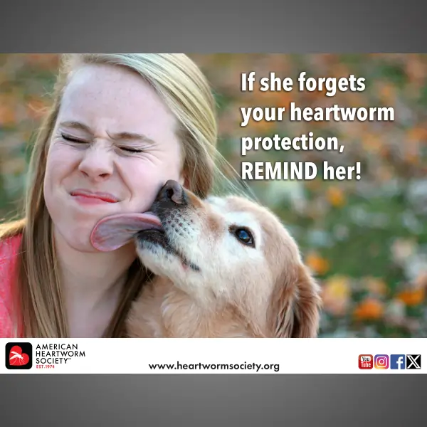 Dog licking a woman's face