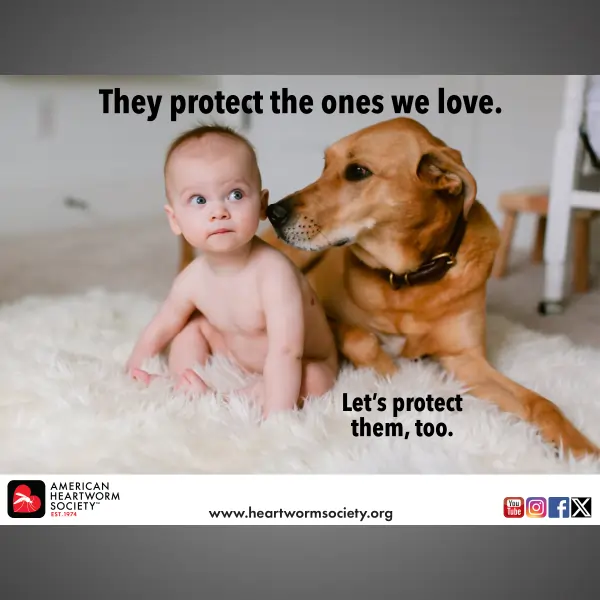 Baby with dog next to them providing protection